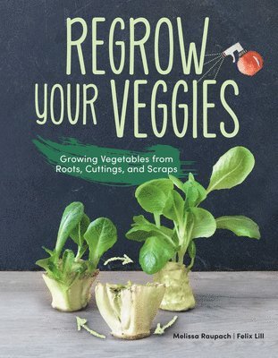 Melissa Raupach, Felix Lill - Regrow Your Veggies, Häftad. Tillgänglighet: Lägg i varukorg