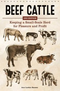 bokomslag Beef Cattle, 2nd Edition