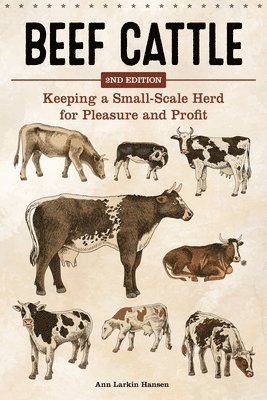 bokomslag Beef Cattle, 2nd Edition