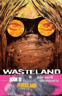 bokomslag Wasteland Volume 11: Floodland