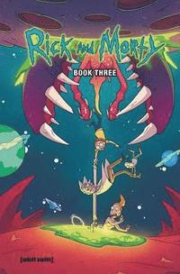 bokomslag Rick And Morty Book Three