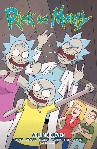 bokomslag Rick And Morty Vol. 11