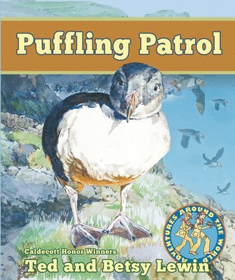 Puffling Patrol 1