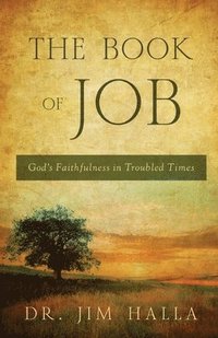 bokomslag Book of Job