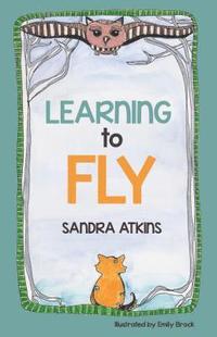 bokomslag Learning to Fly
