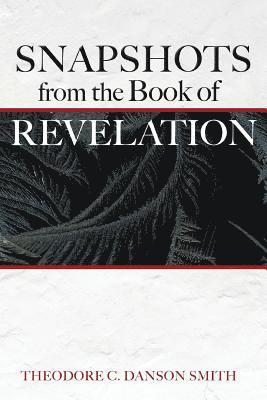 bokomslag Snapshots from the Book of Revelation