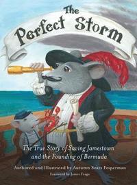 bokomslag Perfect Storm