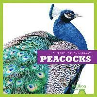 Peacocks 1