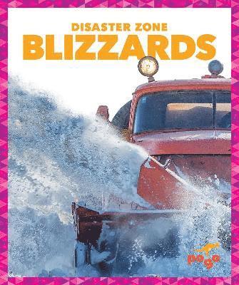 Cari Meister - Blizzards, Inbunden