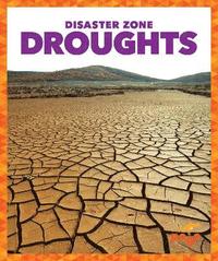 bokomslag Droughts