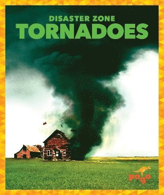 bokomslag Tornadoes