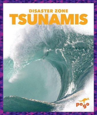 bokomslag Tsunamis