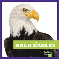 bokomslag Bald Eagles