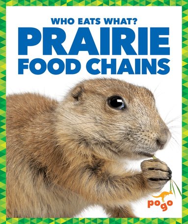 Rebecca Pettiford - Prairie Food Chains, Inbunden
