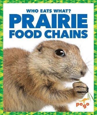 bokomslag Prairie Food Chains