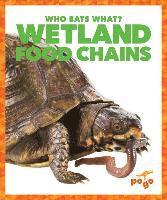 bokomslag Wetland Food Chains