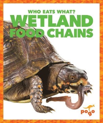 bokomslag Wetland Food Chains