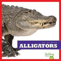 bokomslag Alligators
