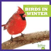bokomslag Birds in Winter