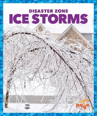 bokomslag Ice Storms