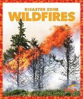 Wildfires 1