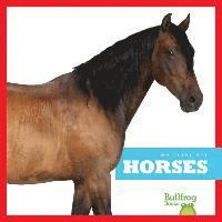bokomslag Horses