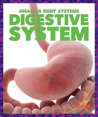 bokomslag Digestive System