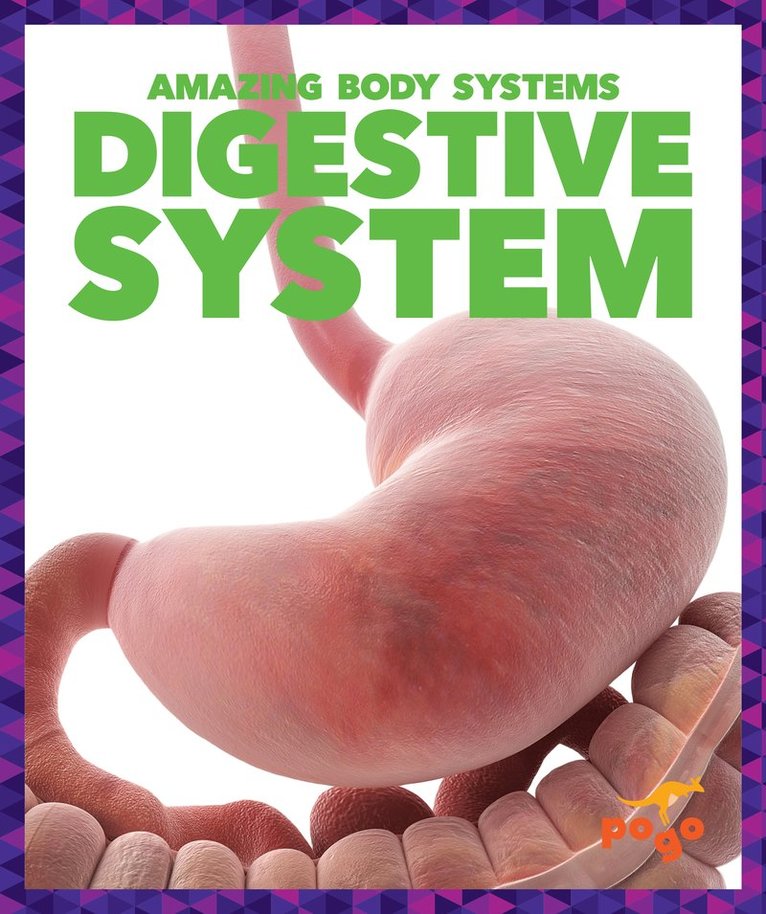 Karen Latchana Kenney, Karen Kenney - Digestive System, Inbunden