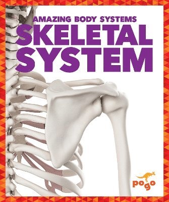 Skeletal System 1