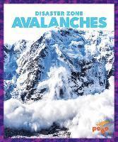 bokomslag Avalanches