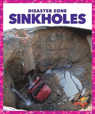 bokomslag Sinkholes