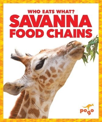 bokomslag Savanna Food Chains