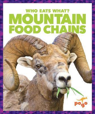 Mountain Food Chains 1