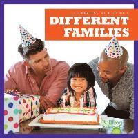 bokomslag Different Families