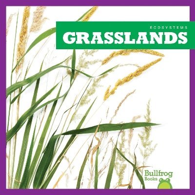 Grasslands 1