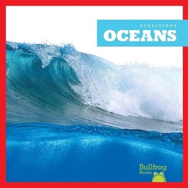 bokomslag Oceans