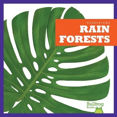 Rain Forests 1