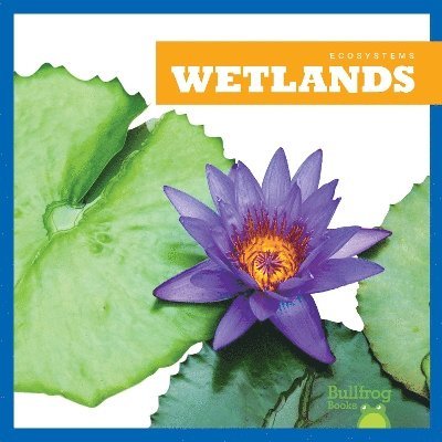 Wetlands 1