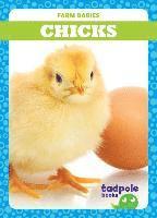 Tim Mayerling - Chicks, Inbunden