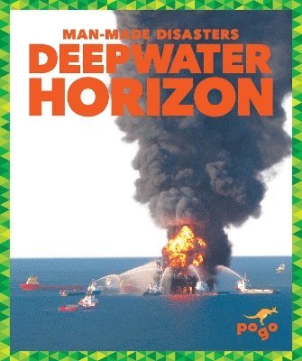 bokomslag Deepwater Horizon