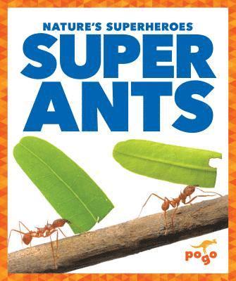 Karen Kenney - Super Ants, Häftad