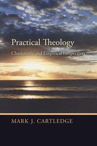 bokomslag Practical Theology