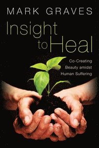 bokomslag Insight to Heal