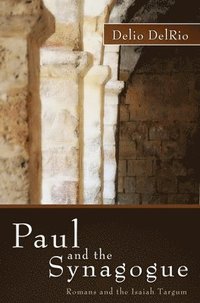 bokomslag Paul and the Synagogue
