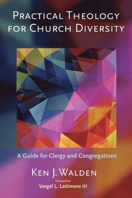 bokomslag Practical Theology for Church Diversity