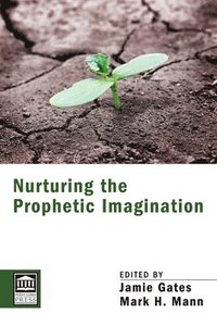 bokomslag Nurturing the Prophetic Imagination