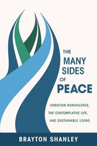 bokomslag The Many Sides of Peace