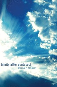bokomslag Trinity After Pentecost