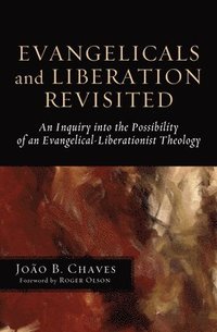 bokomslag Evangelicals and Liberation Revisited