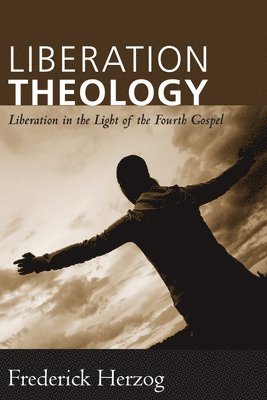 bokomslag Liberation Theology